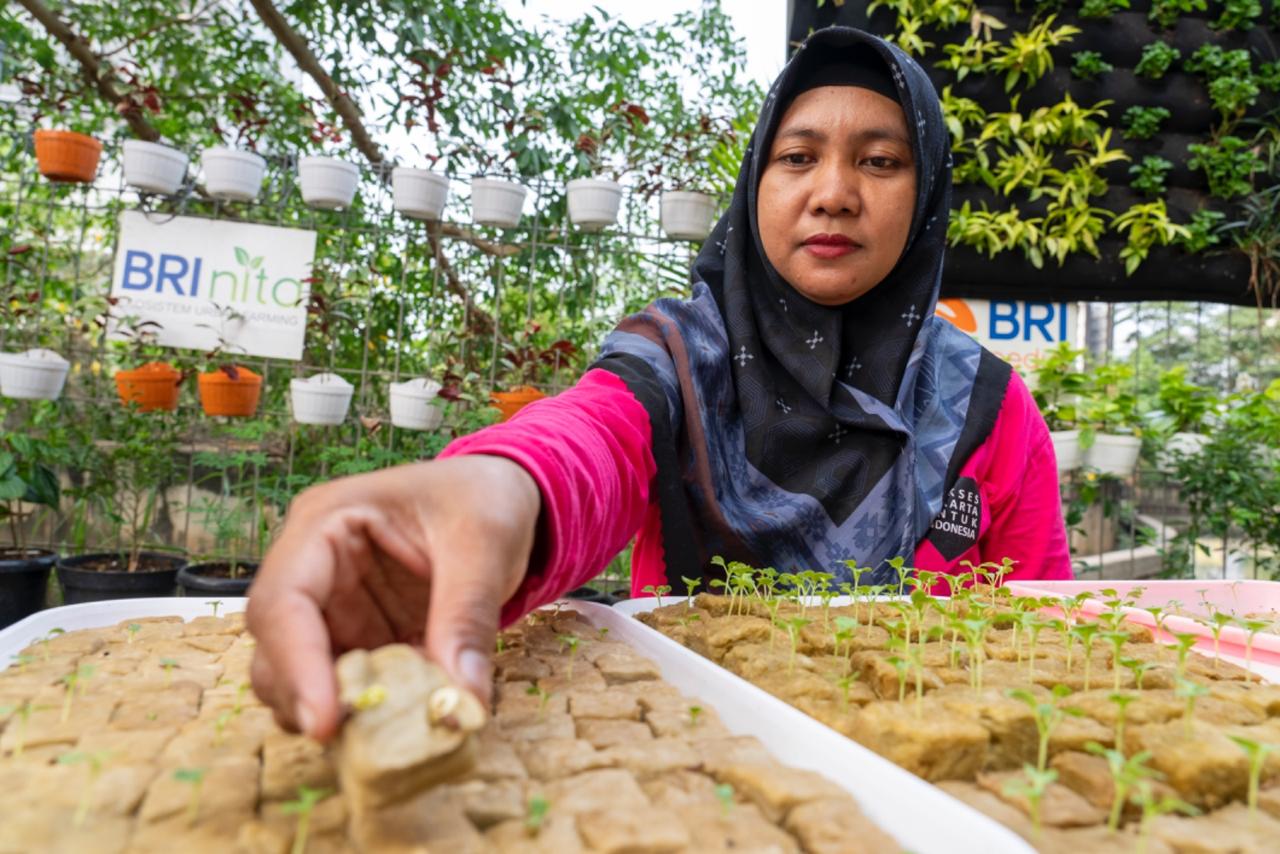 BRI Diakui atas Peran Nyata dalam Urban Farming dan Pemberdayaan Perempuan