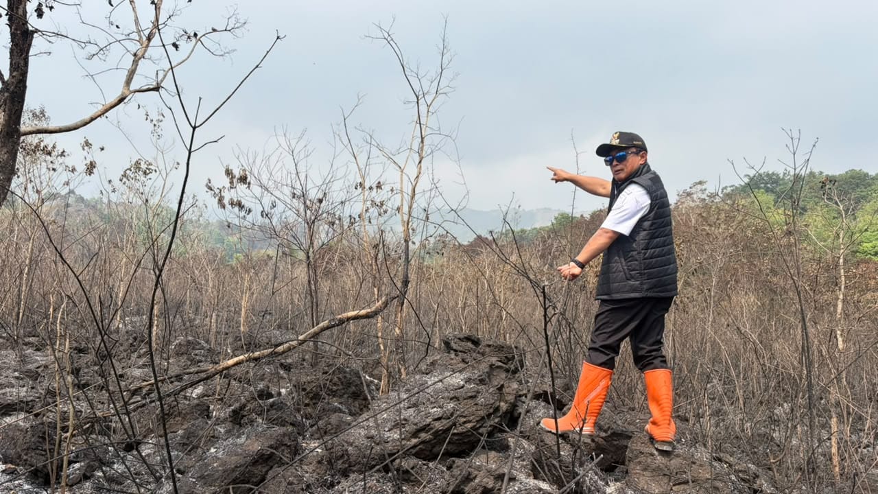 Kebakaran Hutan Gunung Ciremai Capai 40 Hektare, Bupati Kuningan: Api Belum Padam Total