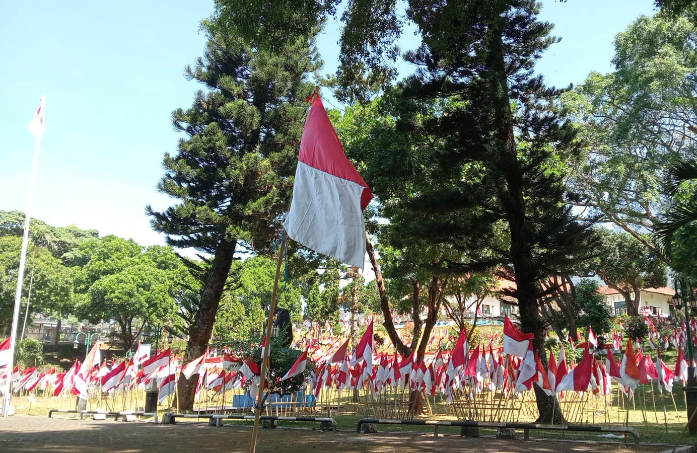 5.000 Bendera Sudah Terpasang, Aksi Relawan Minim Perhatian Pemerintah 