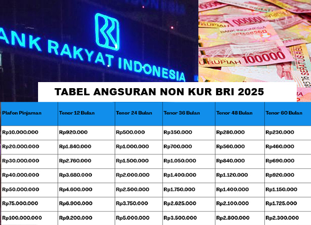 Butuh Uang! Cek Pinjaman Non KUR BRI 2025, Proses Cepat! Segini Rincian Angsuran Terendah 