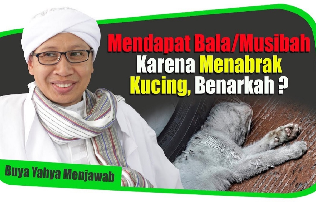 Mendapat Bala karena Menabrak Kucing, Benarkah? Begini Kata Buya Yahya