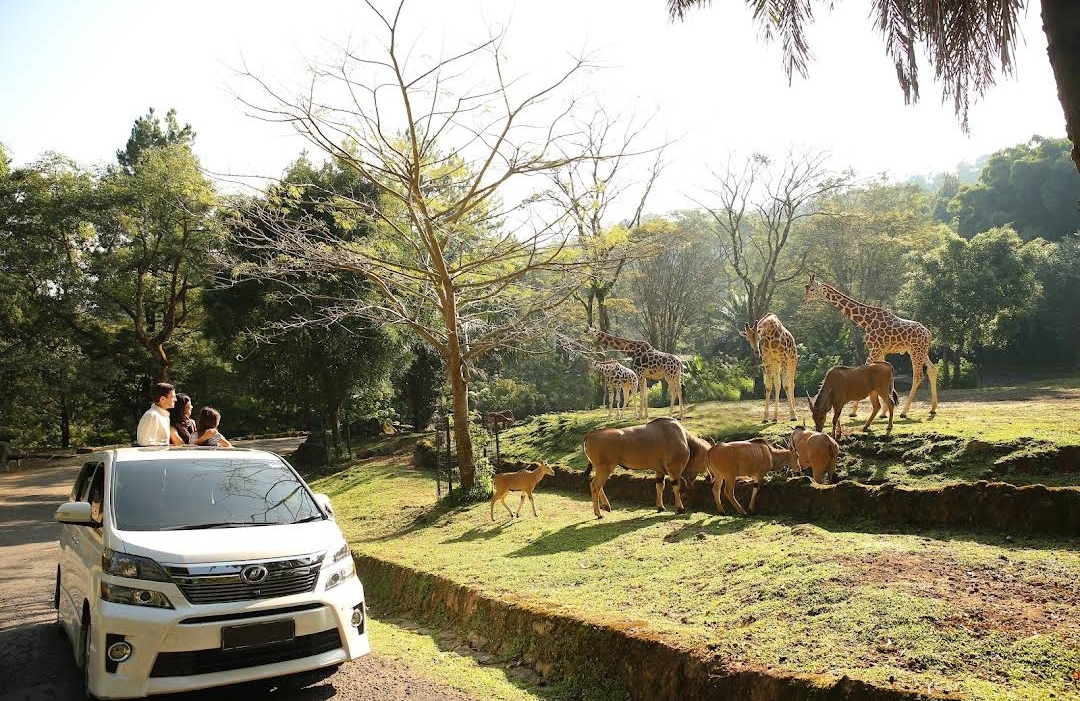 Liburan Akhir Tahun Hampir Tiba, Inilah 3 Rekomendasi Destinasi Wisata Keluarga di Bogor