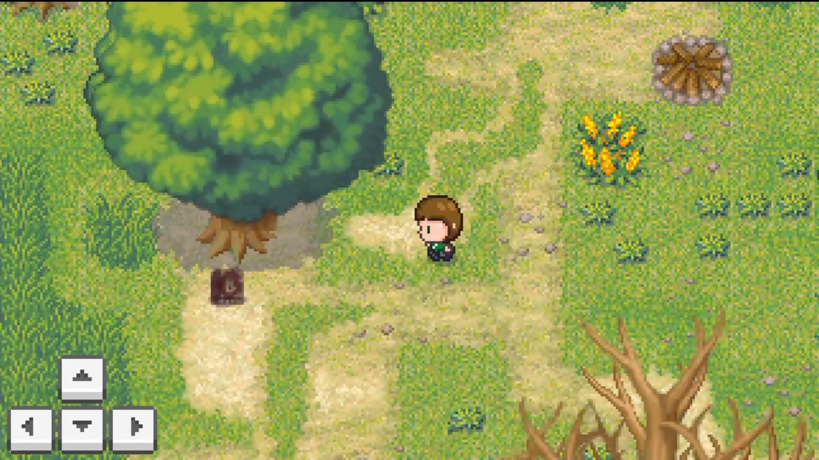 Dosen Uniku Ciptakan Games Simulator Berbahasa Sunda