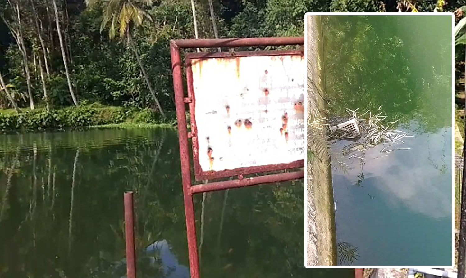Situ Cikolet Tercemar Limbah Ayam, Warga Ragawacana Keluhkan Bau dan Gangguan Kesehatan