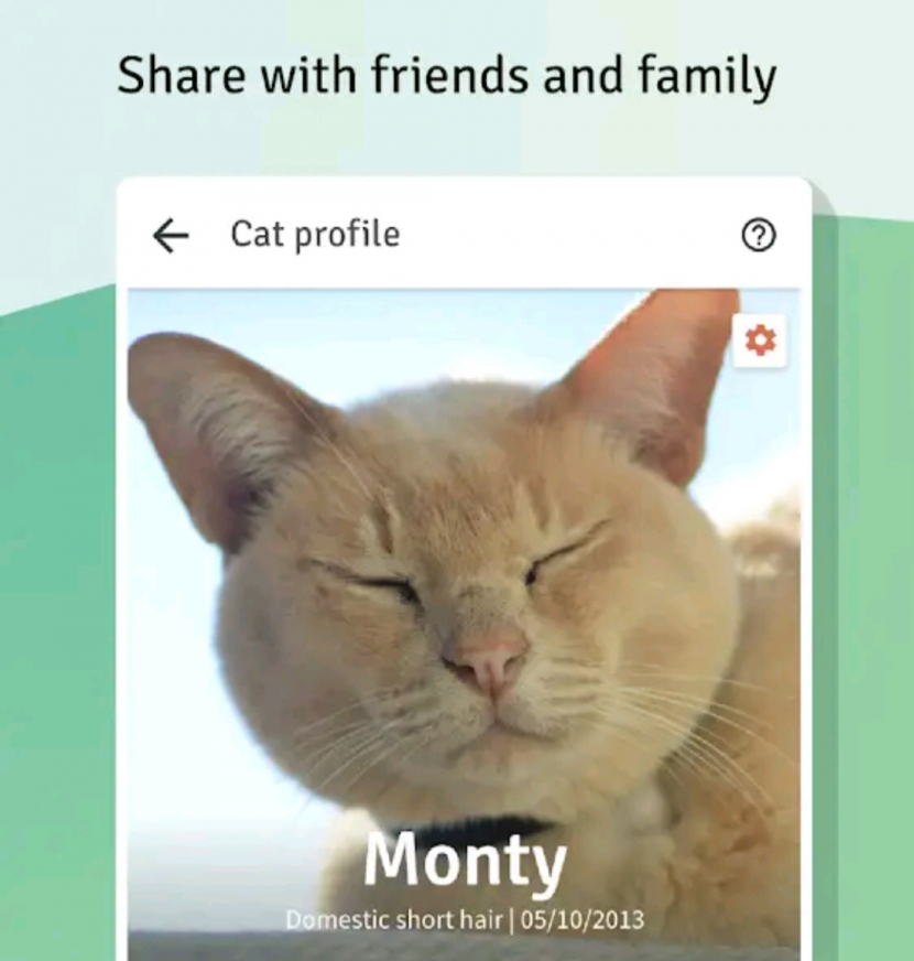 CANGGIH! 6 Aplikasi yang Bisa Mencari dan Melacak Kucing Hilang, Hanya dengan Mengunggah Foto Kucing