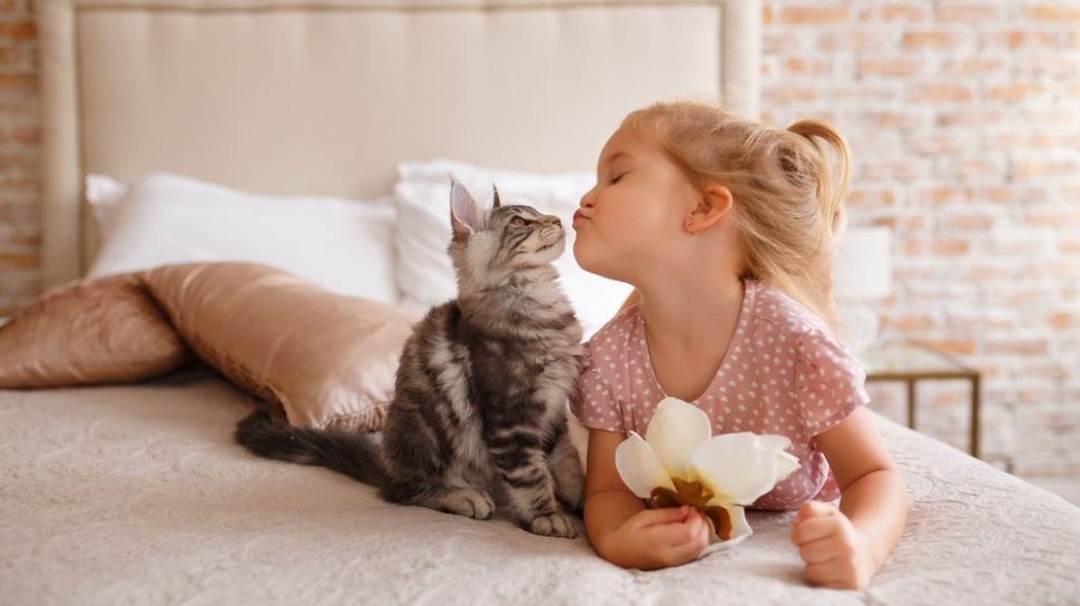 7 Tanda Kucing Bahagia dan Menyayangi Pemiliknya, Bisa Dilihat dari Perilaku dan Bahasa Tubuhnya