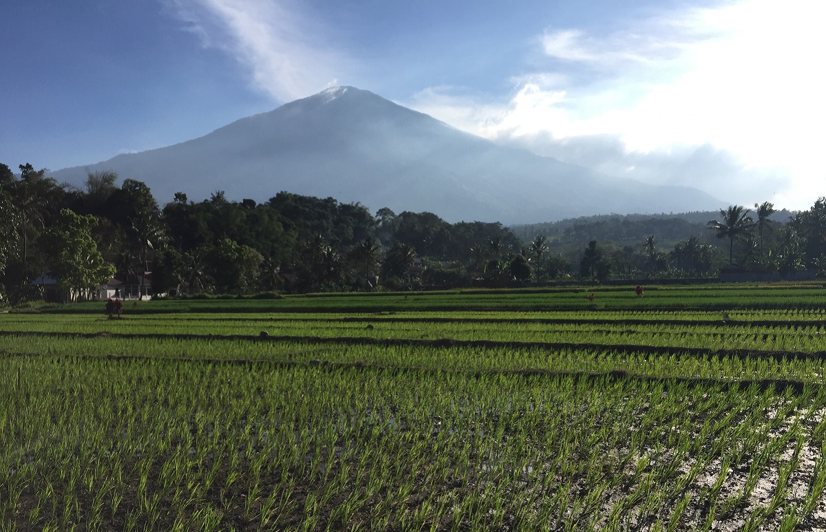 Bulan Juli yang Bersejarah, Inilah Asal Mula Taman Nasional Gunung Ciremai, Bermula dari Surat Bupati Kuningan