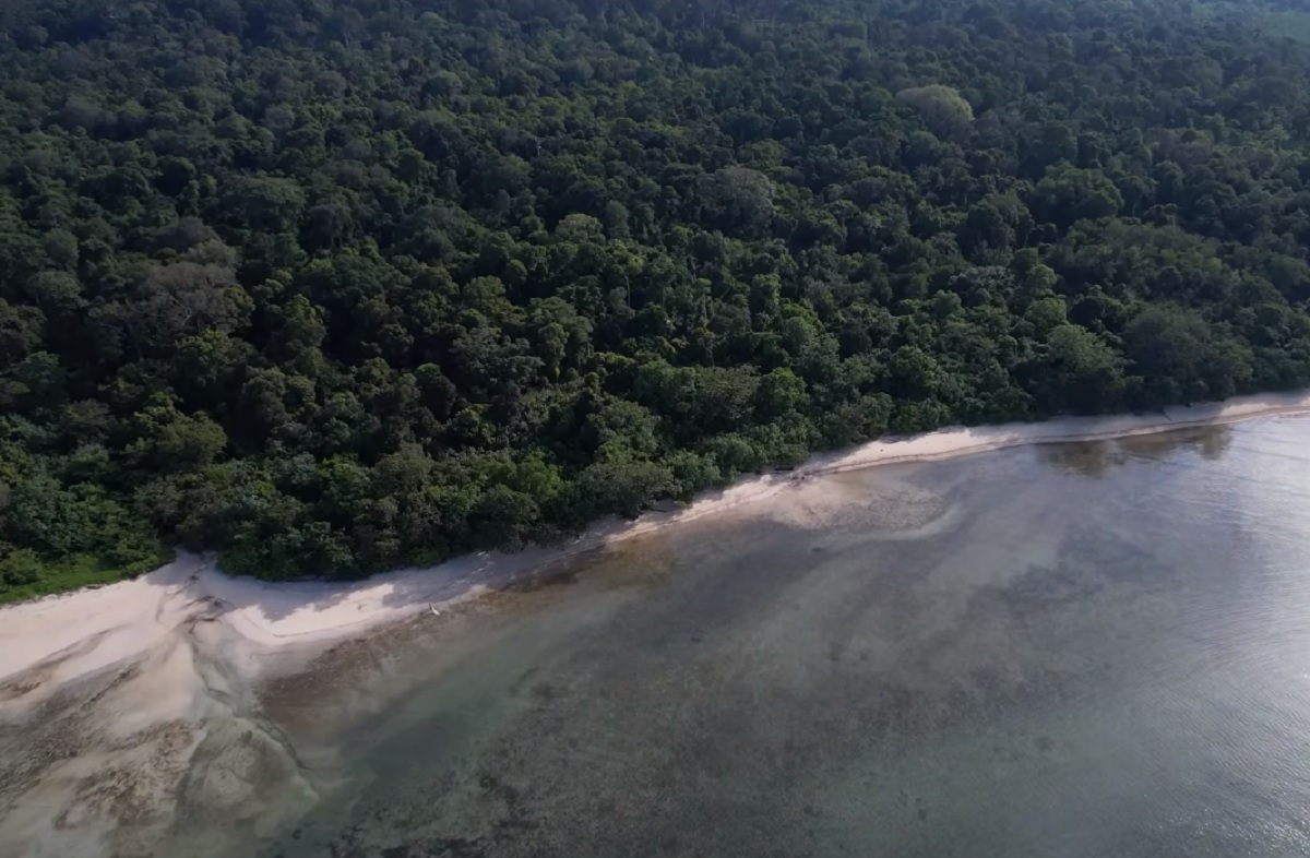 4 Fakta Leuweung Sancang, Hutan Paling Keramat di Pulau Jawa yang Penuh dengan Misteri