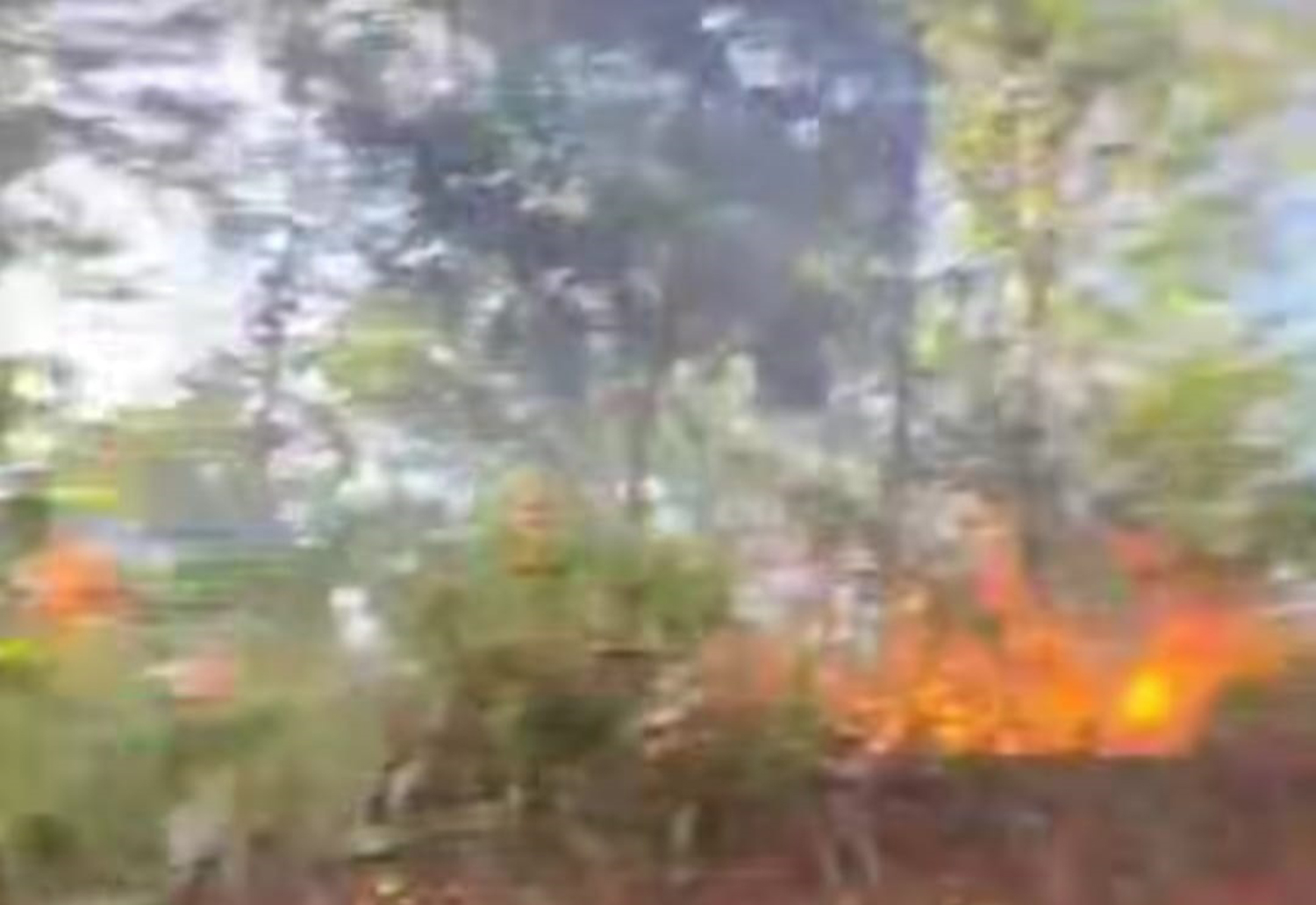 Gara-Gara Bakar Sampah, Lahan 1 Hektare di Desa Sindang Dilalap Api