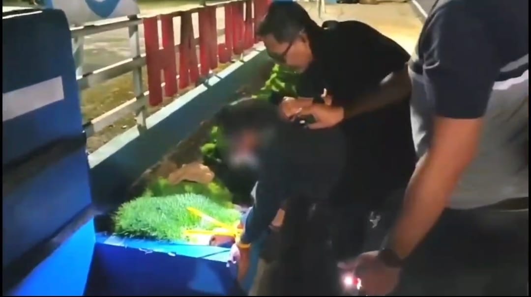 Budidaya Ganja di Rumah, Pria Kuningan Terancam 20 Tahun Penjara