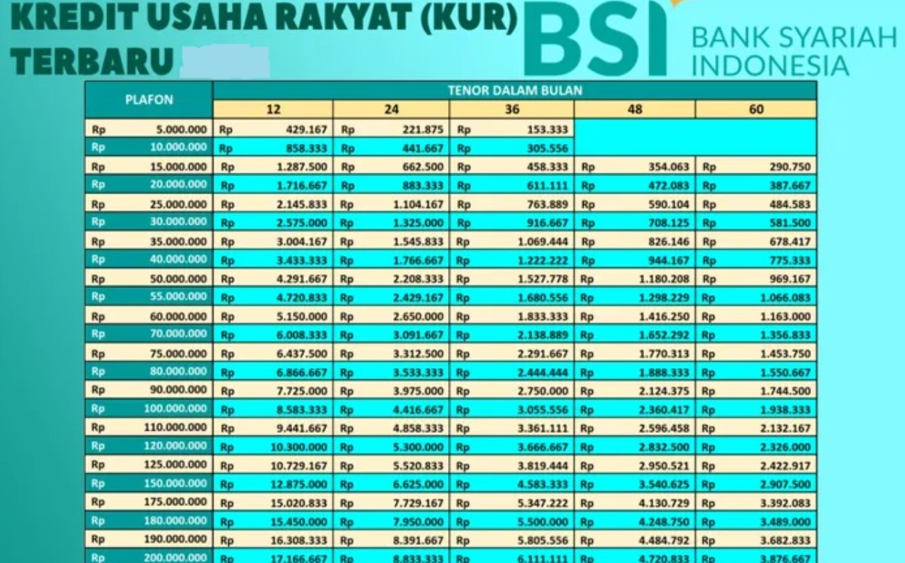 Cicilan Mulai dari Rp224.000 Perbulan, Tabel Angsuran KUR BSI Pinjaman 50 Juta Terbaru Edisi September 2025