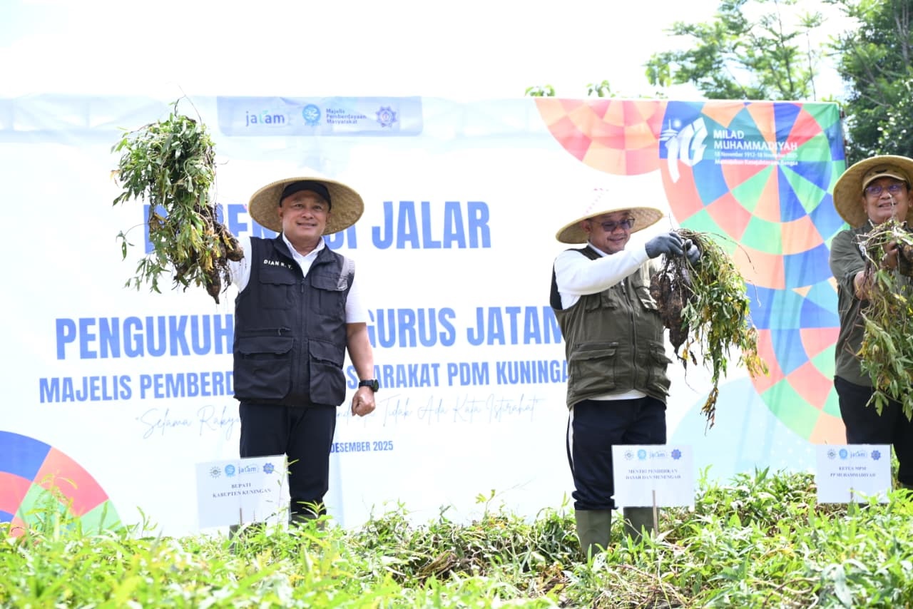 Ubi Varietas Cilembu dan Naruto Dikembangkan Petani Kuningan