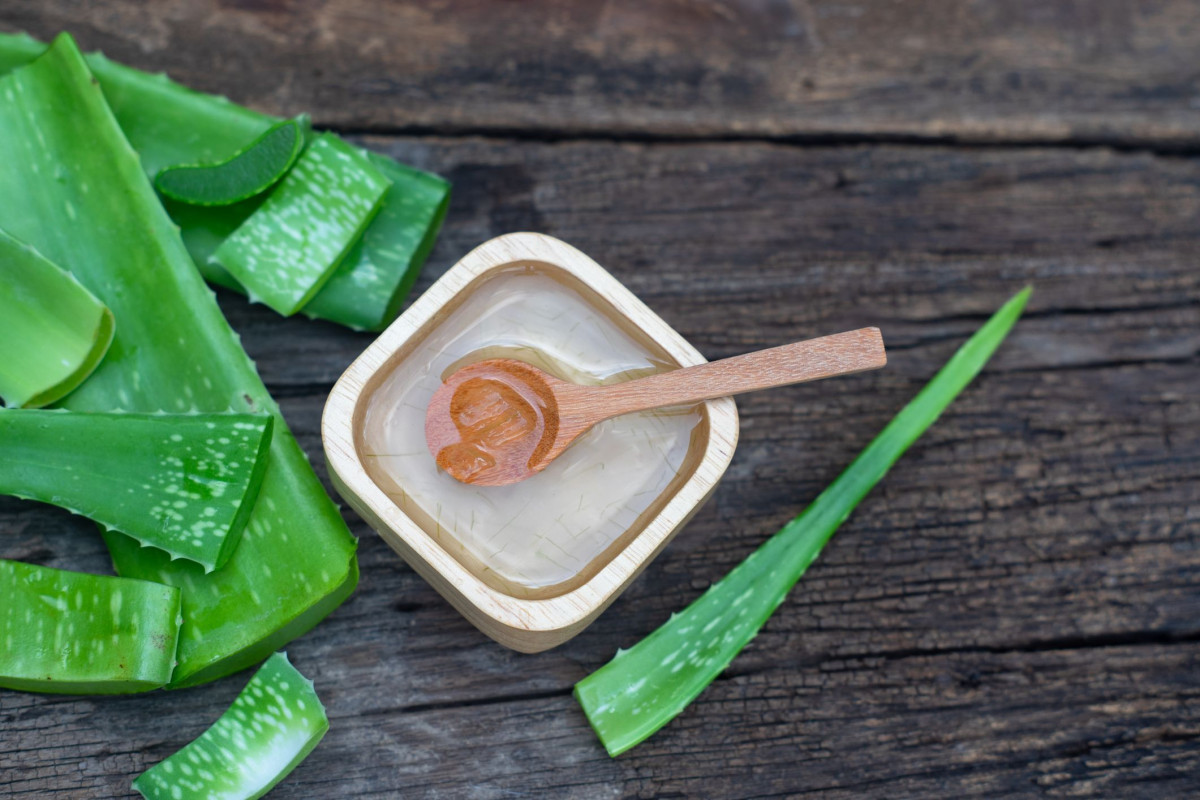 Mudah Banget! 4 Cara Membuat Masker Lidah Buaya untuk Rambut, Cara Alami Atasi Berbagai Masalah Rambut