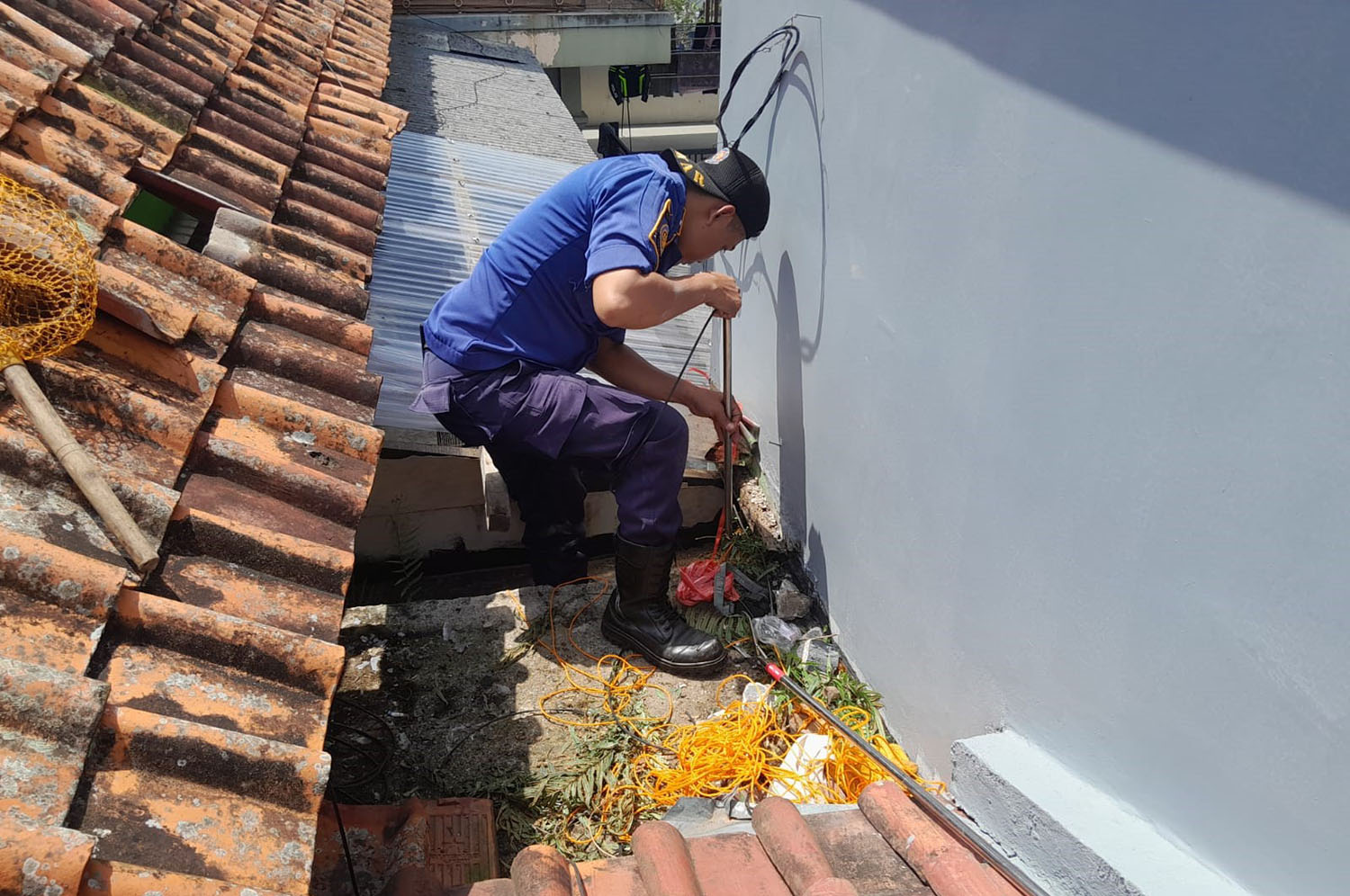 Aksi Penyelamatan Anak Kucing dan Kemunculan King Kobra Bikin Tegang Satu Kampung