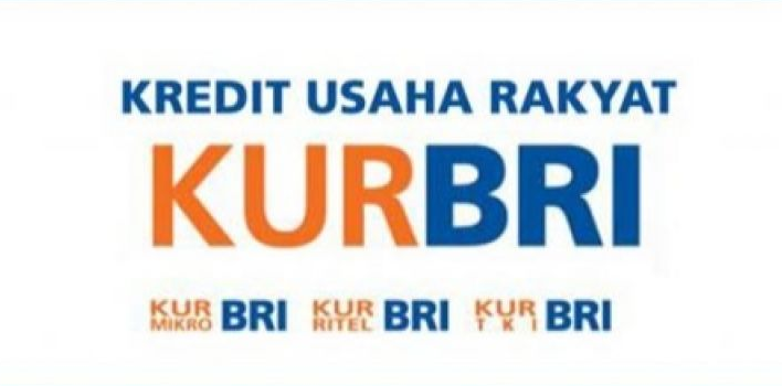 3 Daftar Cicilan KUR BRI 2024 Beserta Syaratnya, Simak Daftar Lengkapnya Disini!