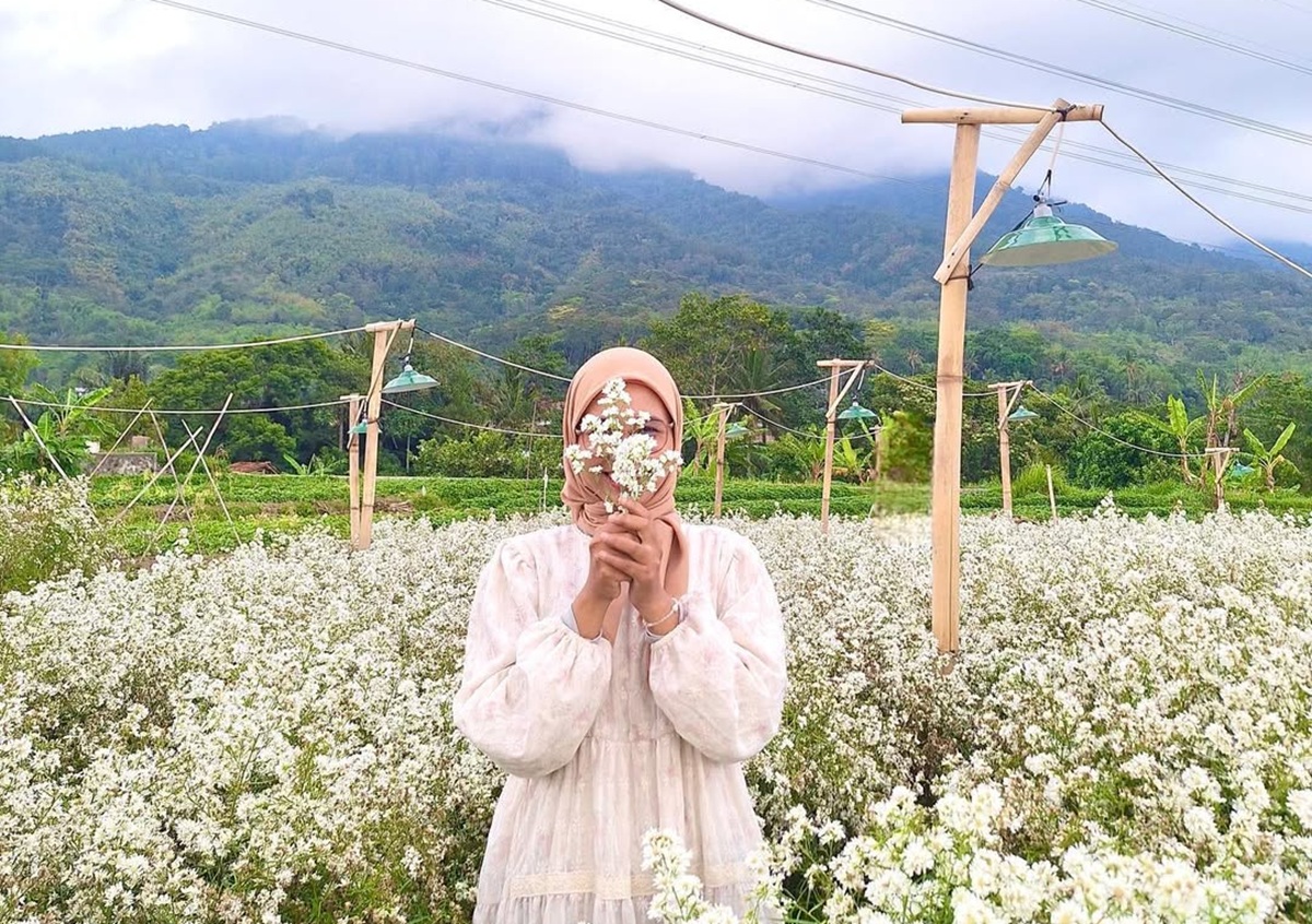 Ini Dia 3 Destinasi Wisata Tersembunyi yang Masih Jarang Dijelajahi Wisatawan di Kuningan Jawa Barat