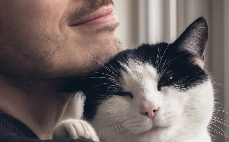 Kucing Bisa Menganggap Kita Kekasih Mereka? Simak 4 Ciri Kucing yang Cinta Pada Pemiliknya Berikut ini
