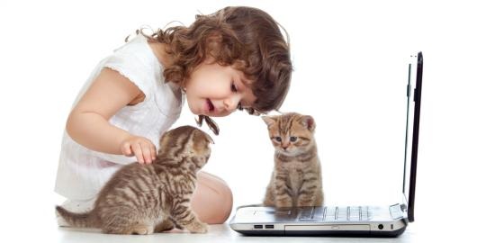 Majikan Sayang dengan Kucing Peliharaan akan Diberi Ucapan Kasih Sayang oleh Anabul, Inilah 4 Cirinya