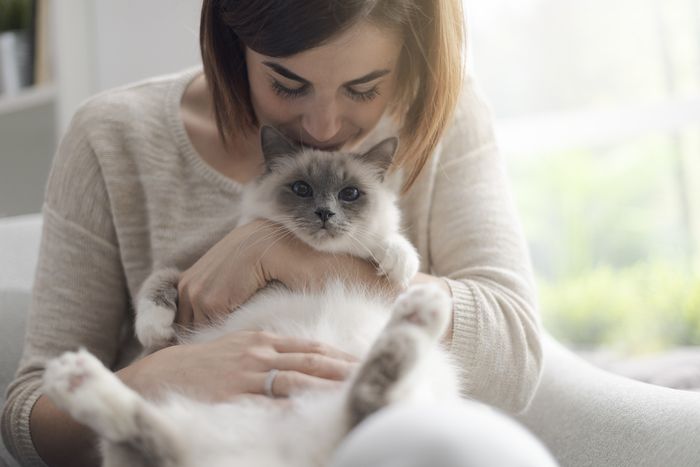 Bikin Baper! Inilah 8 Bahasa Cinta Kucing yang Menandakan Anabul Sayang dan Nyaman Berada Di Dekatmu