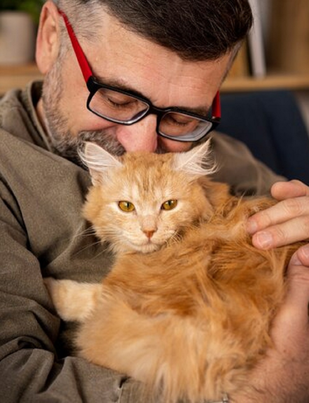 Kenali 6 Sikap Kucing Yang Menandakan Bahwa Ia Menyukaimu Sebagai Pemiliknya