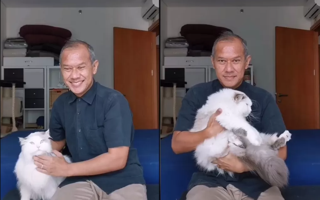 Apa Kamu Sudah Benar? Ini 4 Cara Menggendong Kucing yang Benar agar Anabul Tidak Mereog