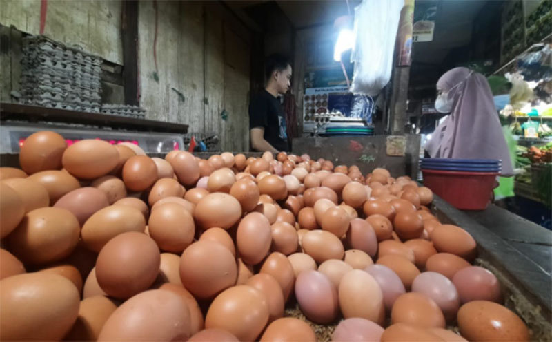 Kabar Baik Untuk Emak-Emak, Harga Telur Ayam di Kuningan Turun, Update Harga Lain di Sini