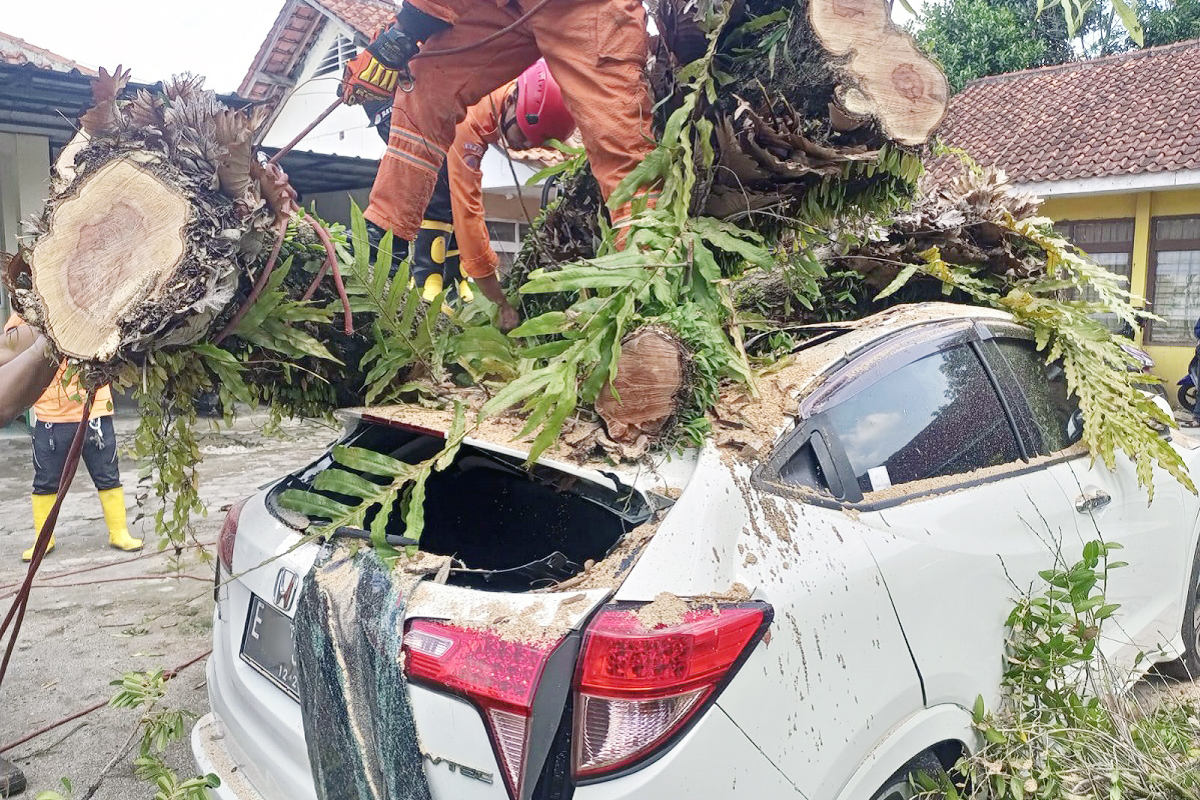 3 Mobil Tertimpa Pohon Tumbang di Puskesmas Luragung, Damkar Kuningan: Kerugian di Atas Rp 100 Juta