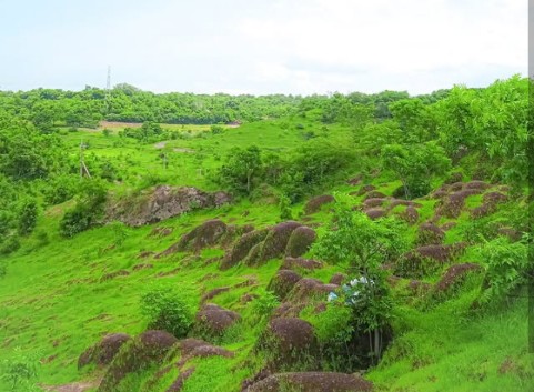 3 Tempat Wisata di Situbondo dengan Alam yang Indah