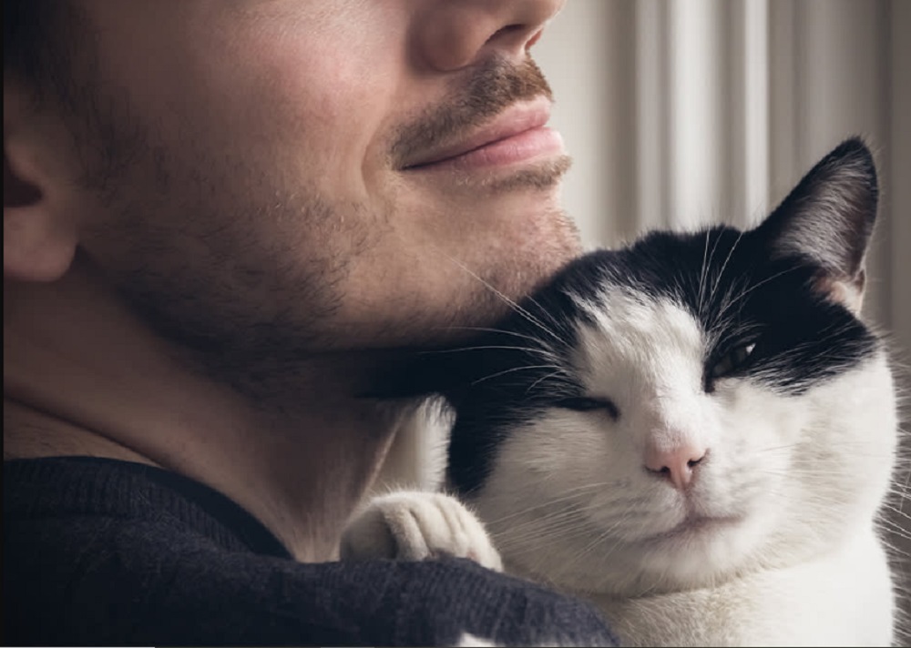 Bikin Baper!Ini Dia 5 Gaya Bahasa Kucing Mencintaimu Selaku Pemiliknya, Pecinta Kucing Wajib Peka!