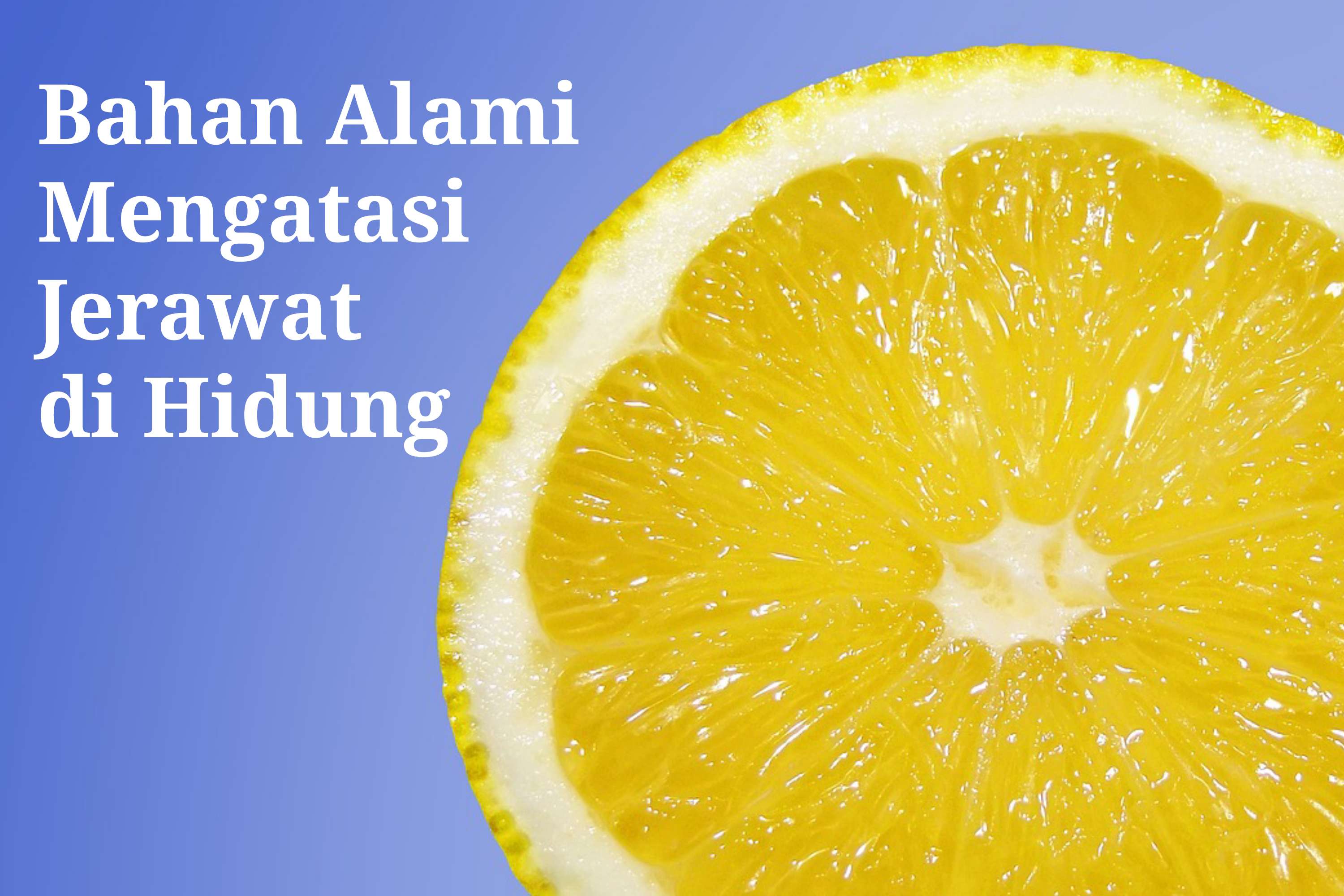 Punya Masalah Jerawat di Hidung? 4 Bahan Alami ini Bisa Jadi Solusinya!