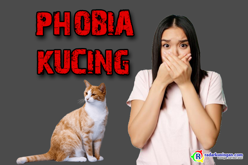 Takut Kucing? Bisa Jadi Kamu Mengalami Ailurophobia, Yuk Simak Gejala dan Cara Mengatasi Fobia Kucing Berikut!