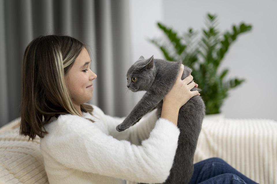 Bukan Sekedar Teman Bermain, Inilah 5 Manfaat Memelihara Kucing di Rumah, yang Masih Jarang Diketahui!
