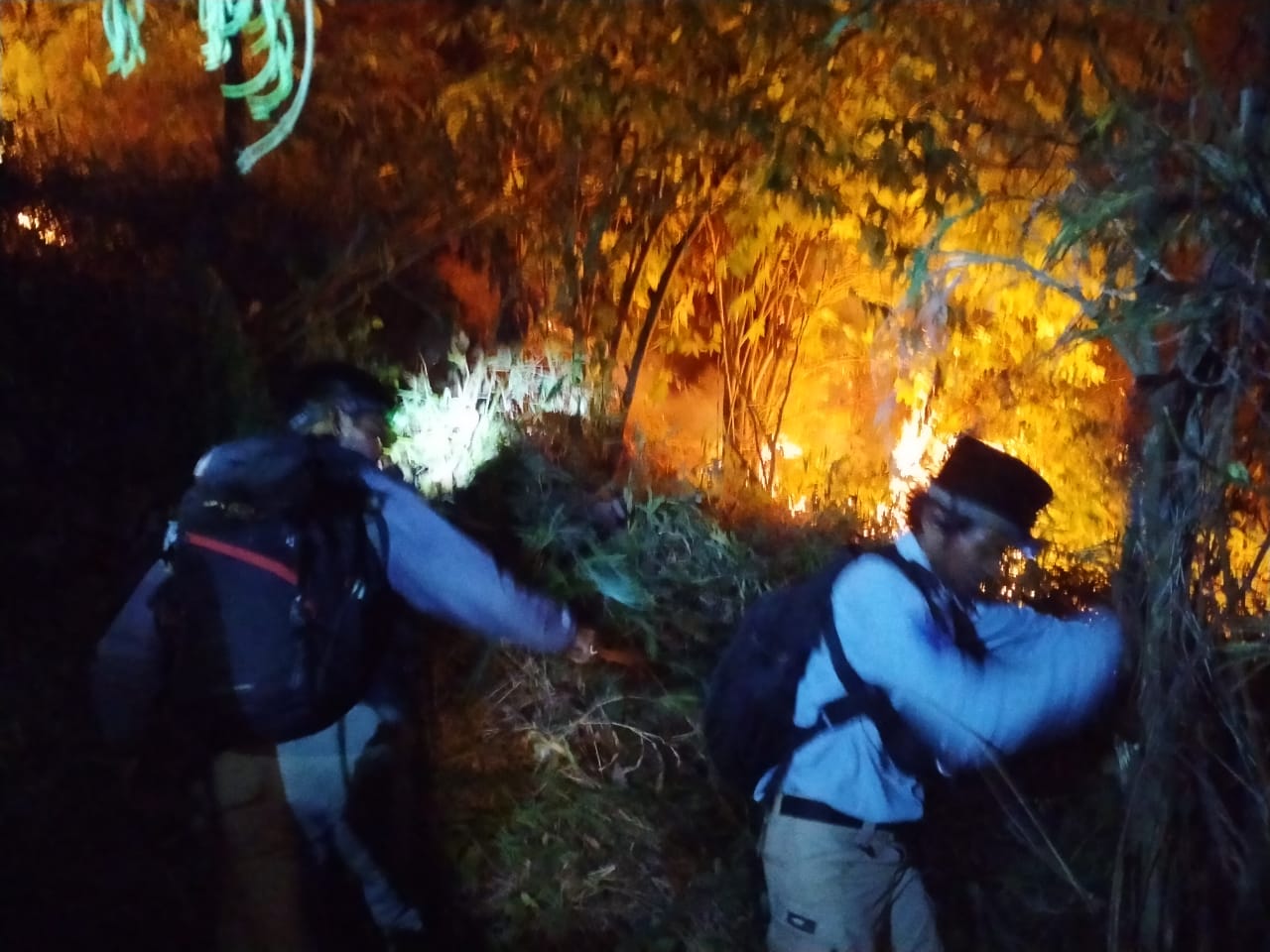 Pemadaman Kebakaran Hutan Taman Nasional Gunung Ciremai, Medan Tempur Bagi AKAR dan Relawan Pecinta Lingkungan