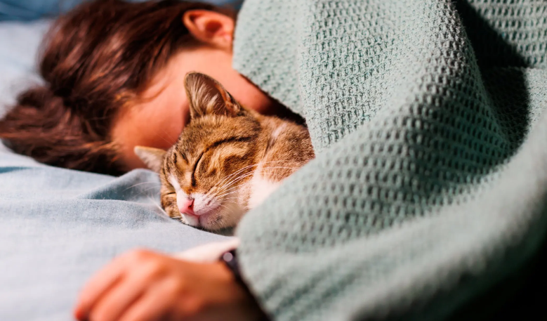 Tidur Bersama Kucing Bagus Untuk Kesehatan? Berikut 5 Manfaatnya yang Sering Disepelekan