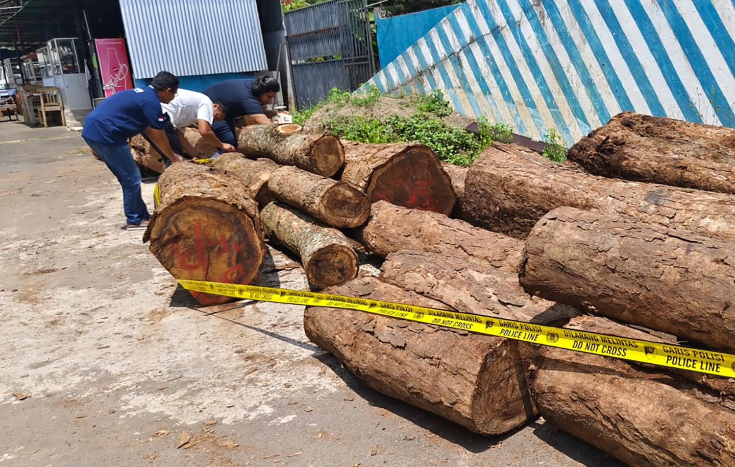 Ini Peran 5 Tersangka Pembalakan Liar di Kawasan Hutan Gunung Ciremai