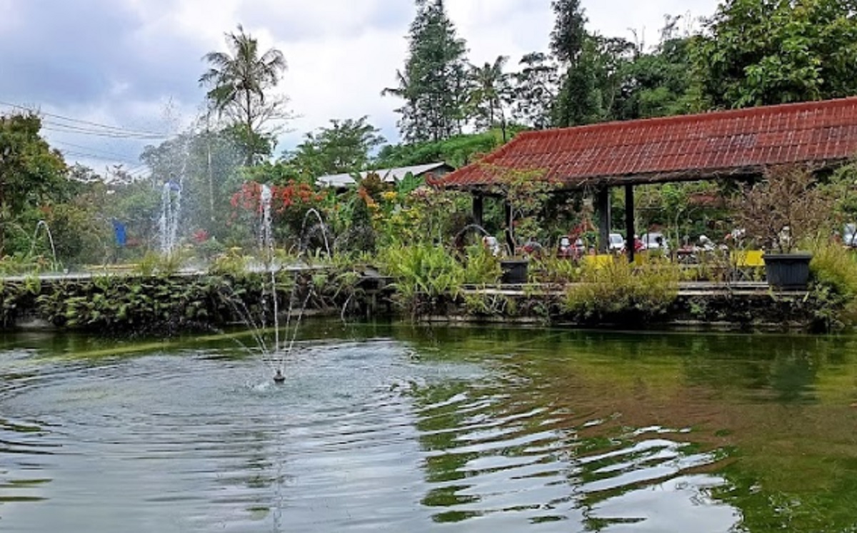 Bisa Melancarkan Aliran Darah, Berikut ini 3 Rekomendasi Kolam Terapi Ikan di Kuningan yang Paling Populer