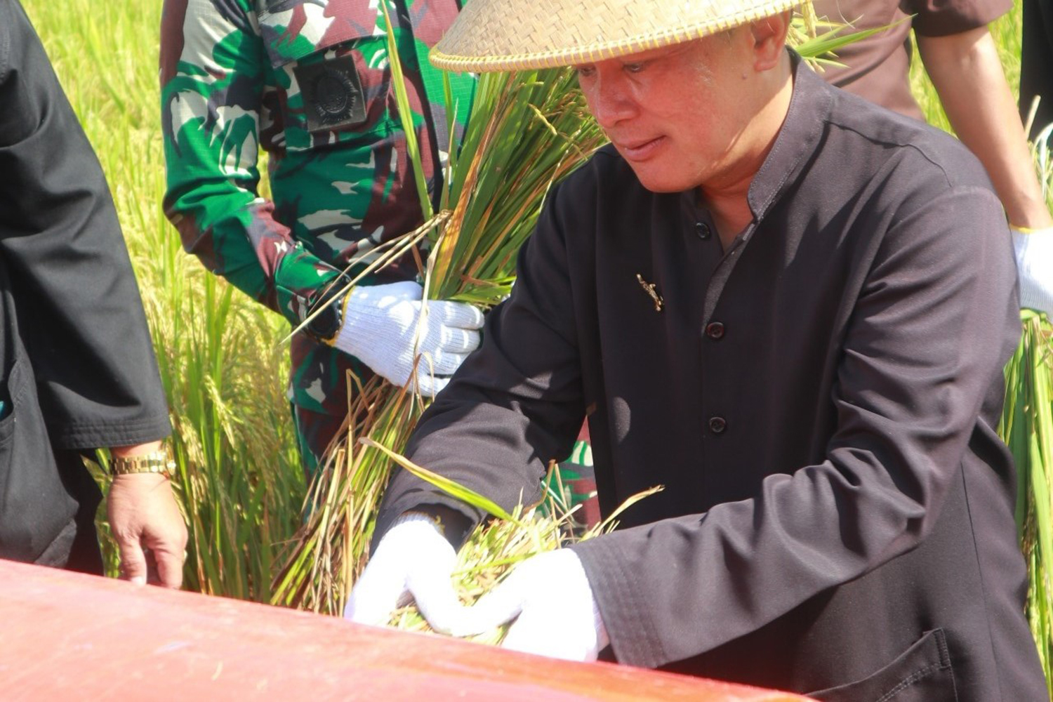 Target Bupati Dian, Kuningan Harus Jadi Lumbung Pangan 