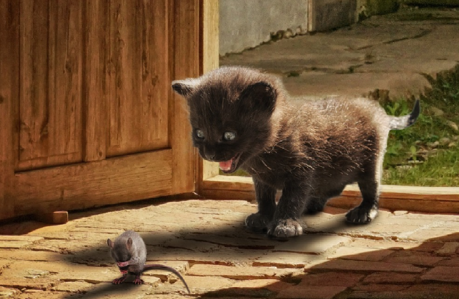 Ampuh! 10 Cara Efektif Mengusir Tikus dan Curut dari Rumah, Simak Penjelasannya