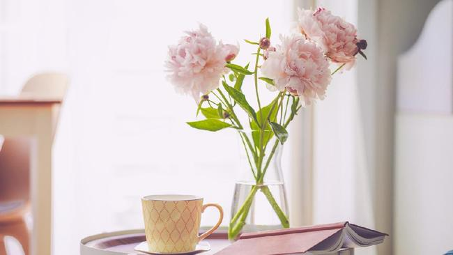 Tak Hanya Visual Cantik, Ini 5 Jenis Bunga yang Melambangkan Kesuksesan, Cocok untuk Motivasi di Ruang Kerja 