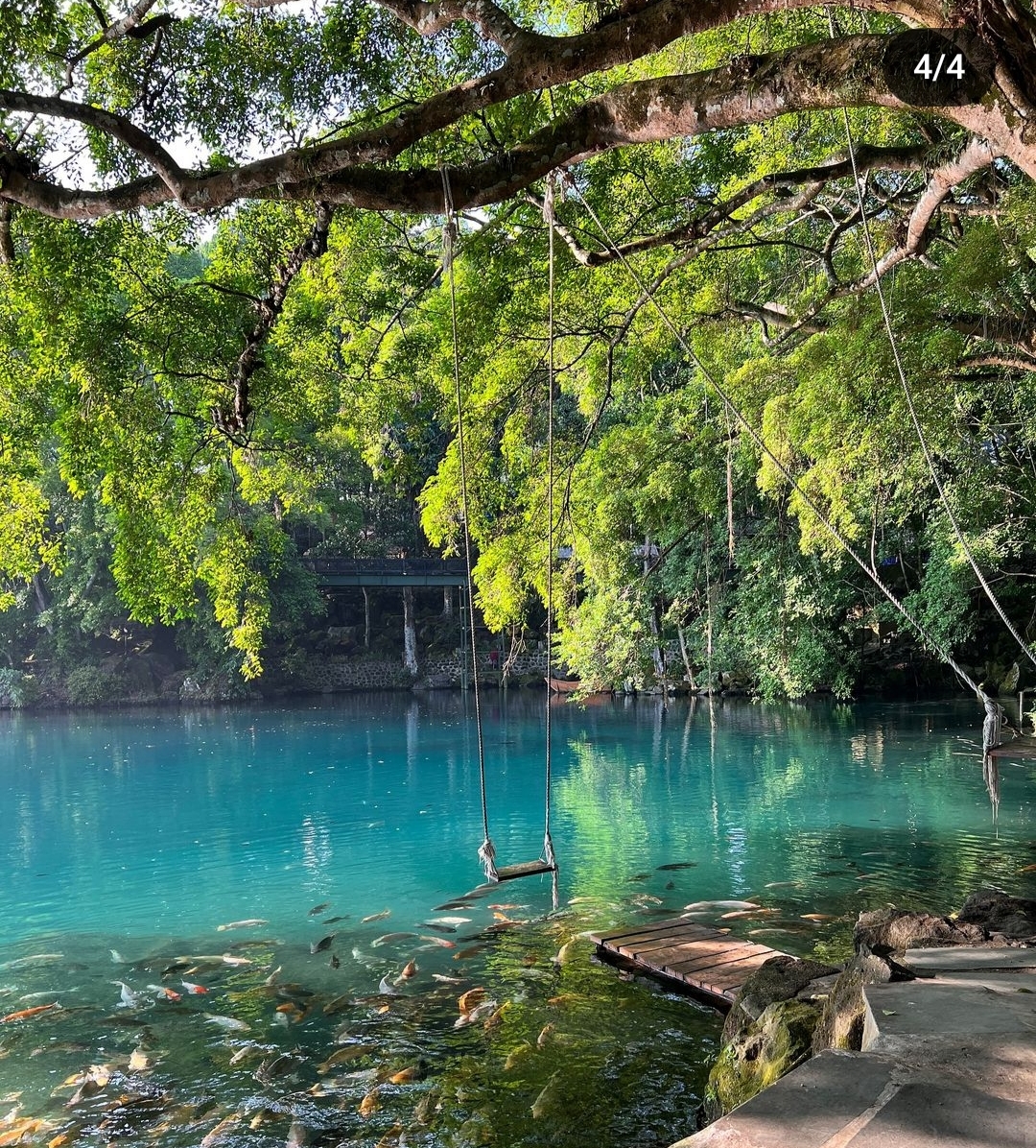 Aquascape Alami Terbesar di Jawa Barat, Inilah 3 Wisata Danau di Kuningan, Cocok untuk Liburan!