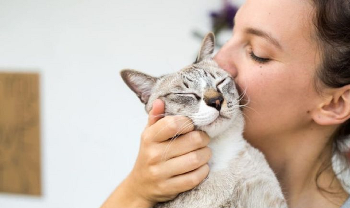 Bulu Kucing dapat Menyebabkan Kemandulan? Apa Iya? Simak Penjelasannya Berikut Ini