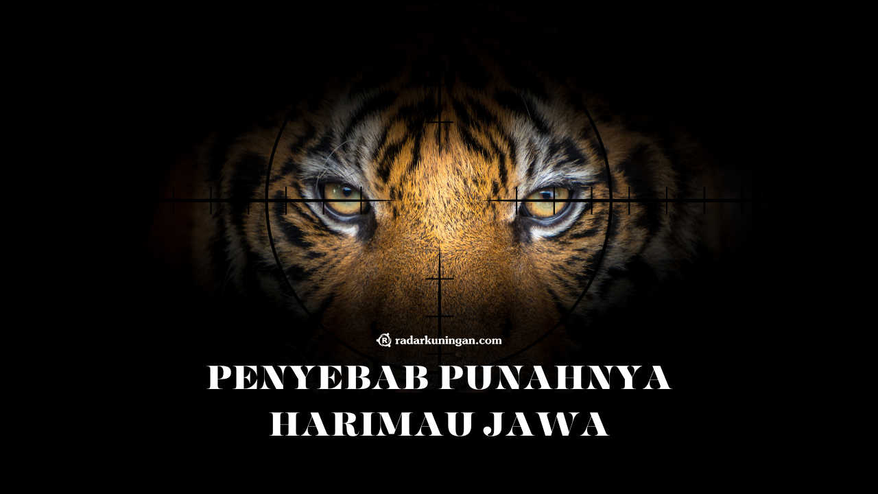 Harimau Jawa Punah Karena Apa? Inilah Penyebab Kepunahan yang Terjadi Pada Kucing Besar Asli Pulau Jawa