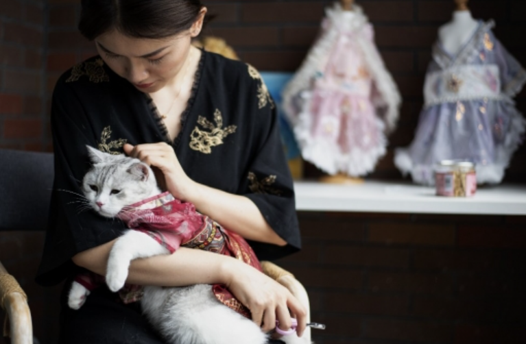 Inilah Kucing Pembawa Keberuntungan Menurut Fenghui, 3 Alasan Perlu Pelihara Anabul