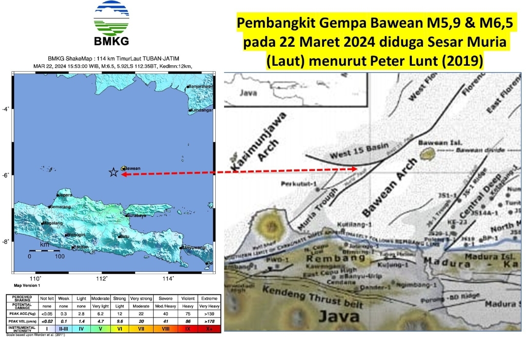 Gempa Bawean Diduga Sesar Muria, Tanda Patahan Tua Pulau Jawa Masih Aktif? 
