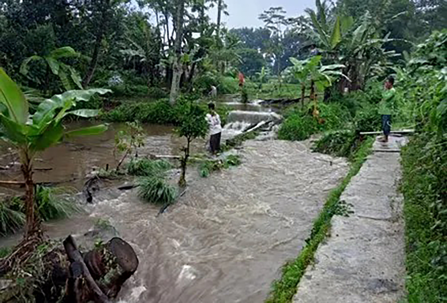 Pergerakan Tanah Terjadi di Desa Bunigeulis, Warga Karangmangu Mendadak 'Panen' Ikan