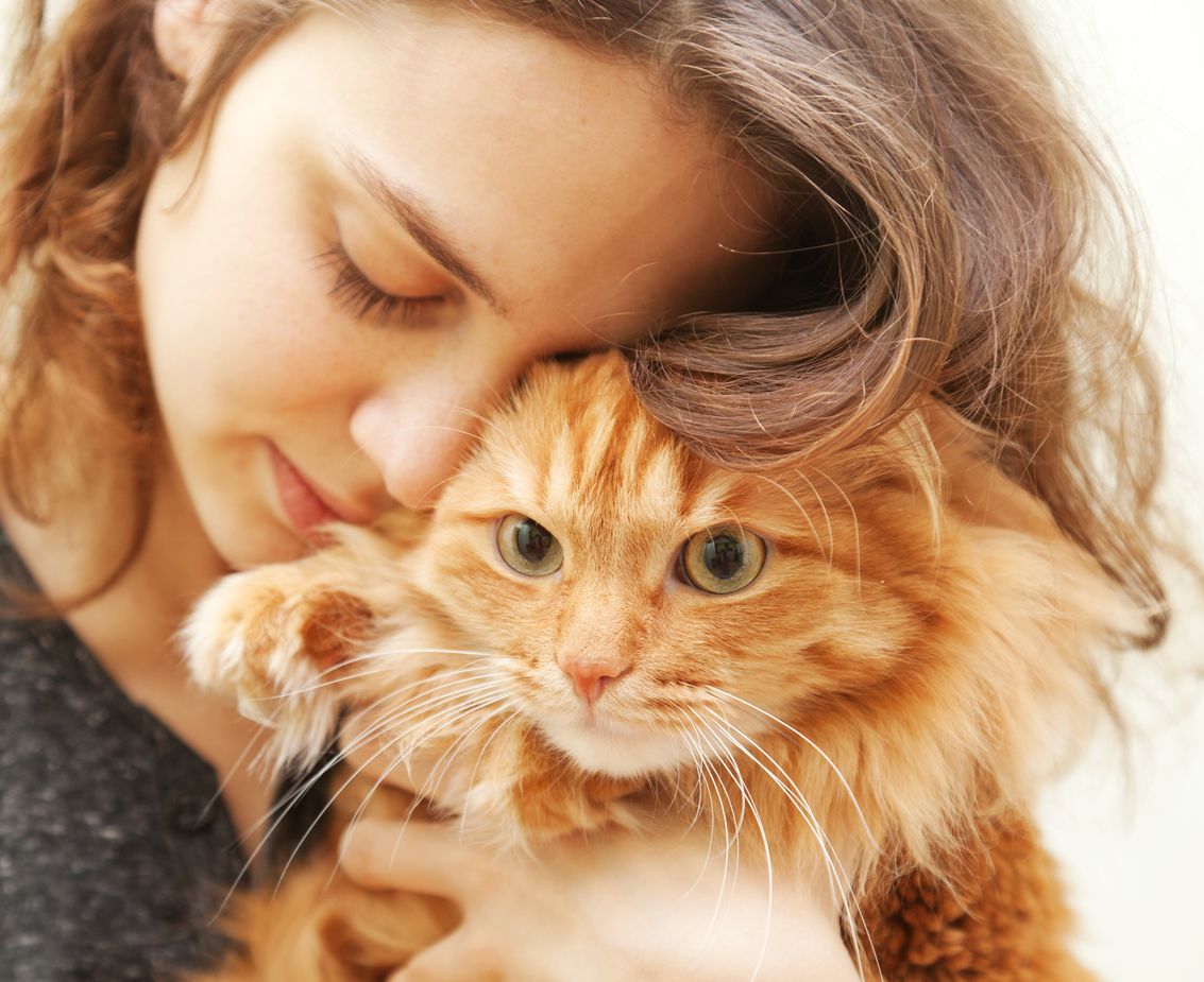 Bikin Terharu, Ternyata Inilah 8 Bahasa Cinta Pertanda Kucing Mulai Sayang Padamu, yang Jarang Disadari!