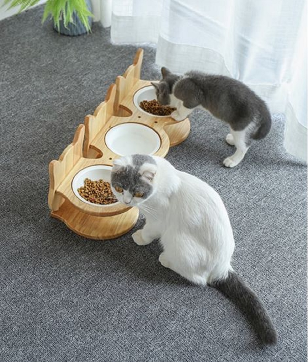 Yuk Simak Ukuran Takaran Makanan Kucing Yang Pas, Tidak Kurang dan Tidak Lebih!