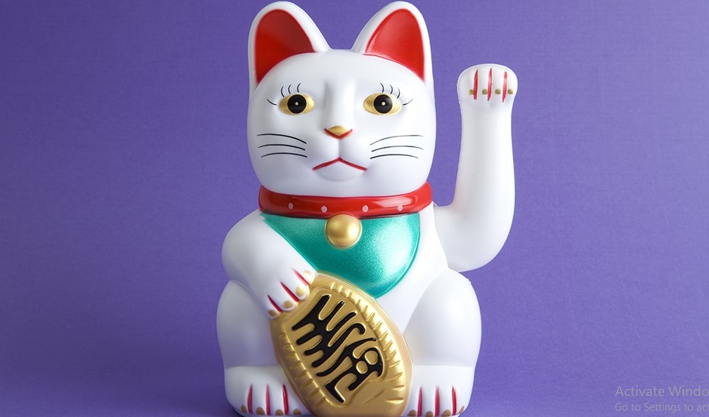 Ini 30 Inspirasi Nama Jepang Untuk Kucing Angora, yang Miliki Arti Keberuntungan!