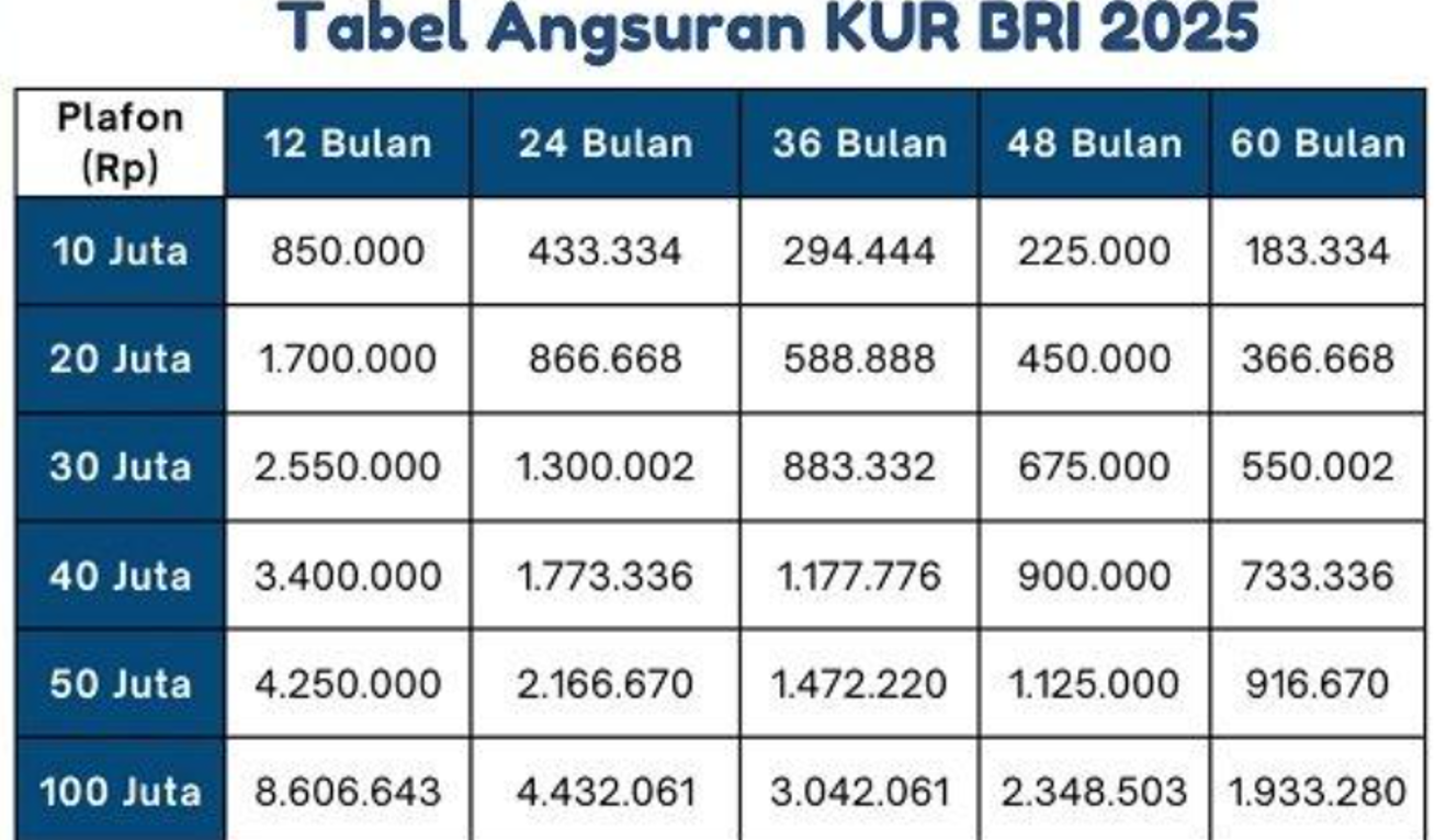 Cek Simulasi KUR BRI 2025 Bulan September, Pinjaman Rp80 Juta Bisa Didapat Dengan Persyaratan Yang Mudah!