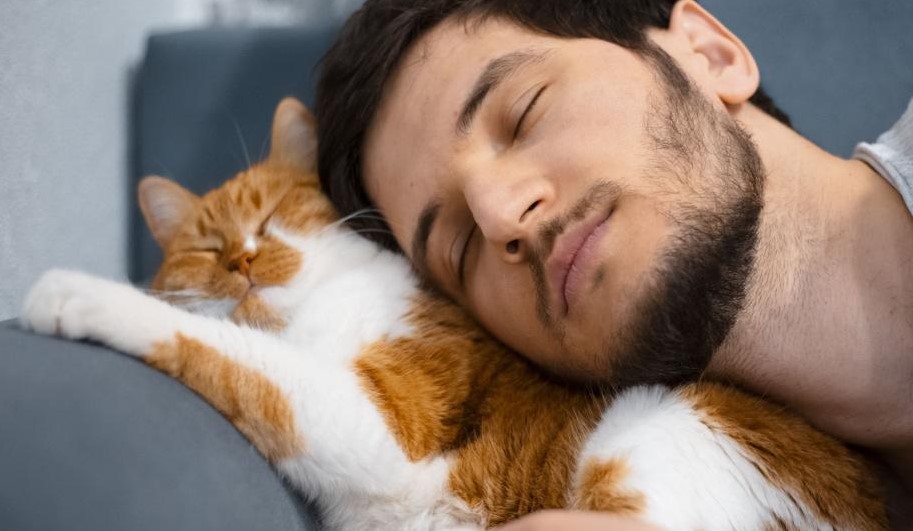 Gemes Banget! Ini 4 Cara Kucing Mengetahui Kalau Mereka Disayangi Oleh Pemilik Mereka